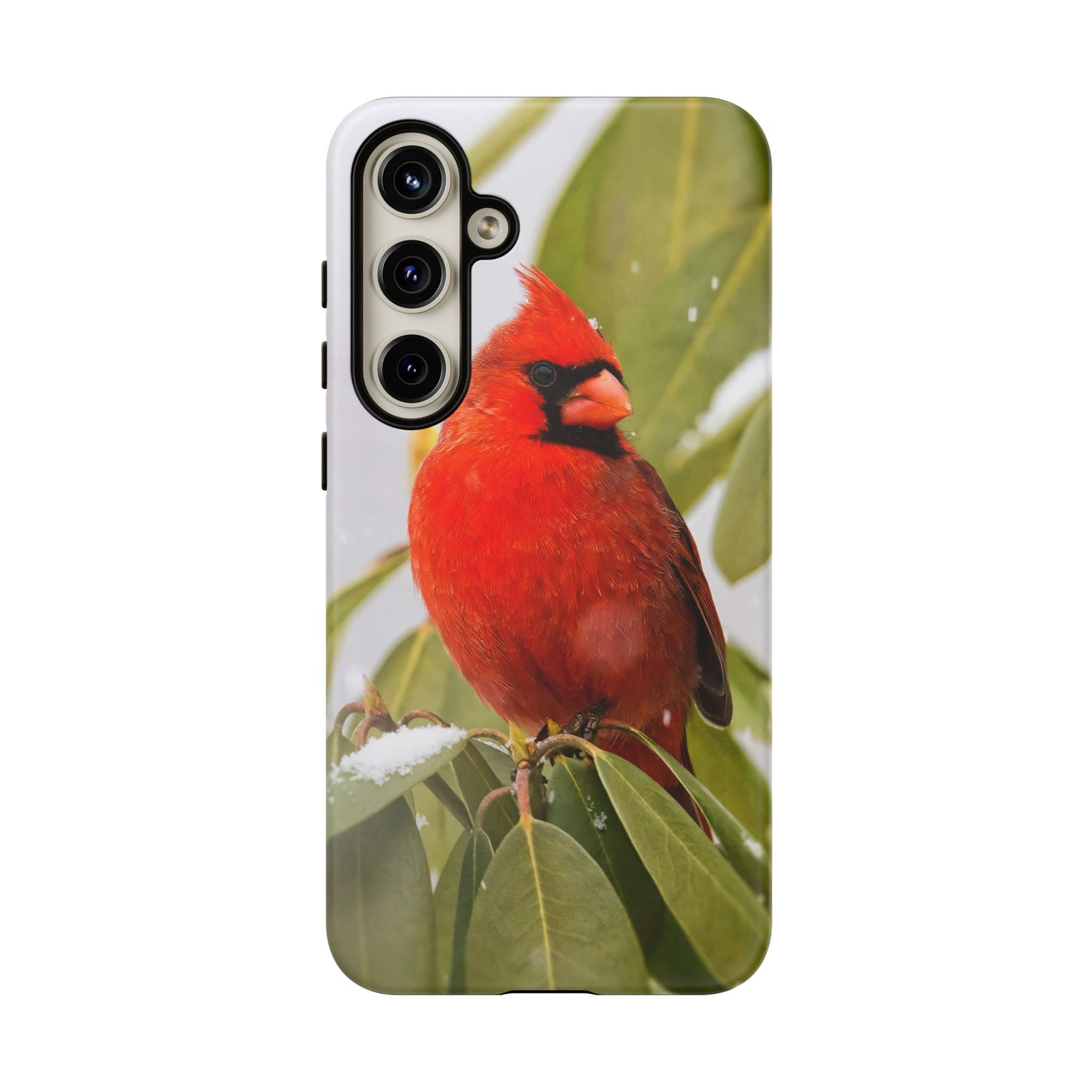 Male Cardinal - Tough Phone Case