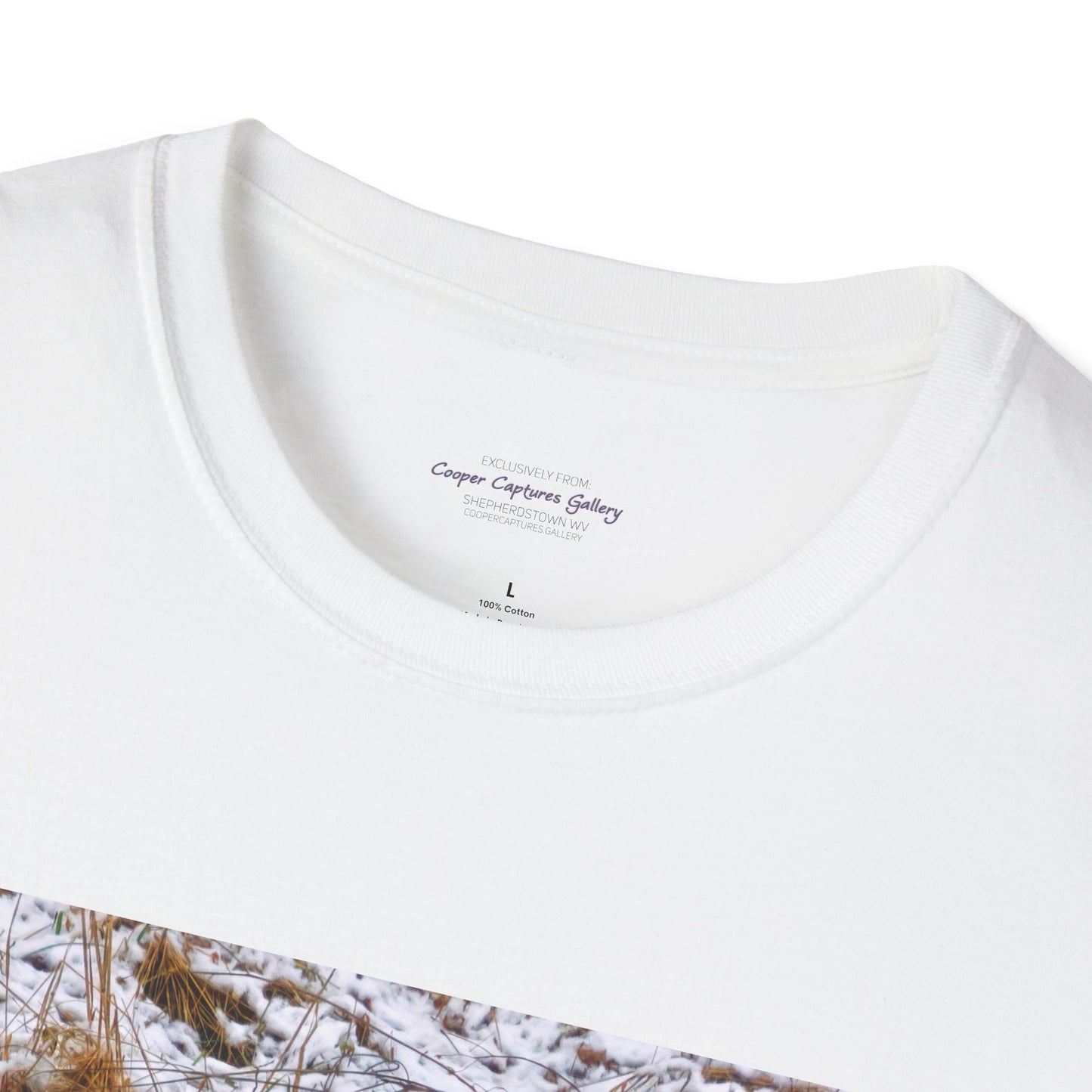 Red Fox in the snow, resting - T-shirt