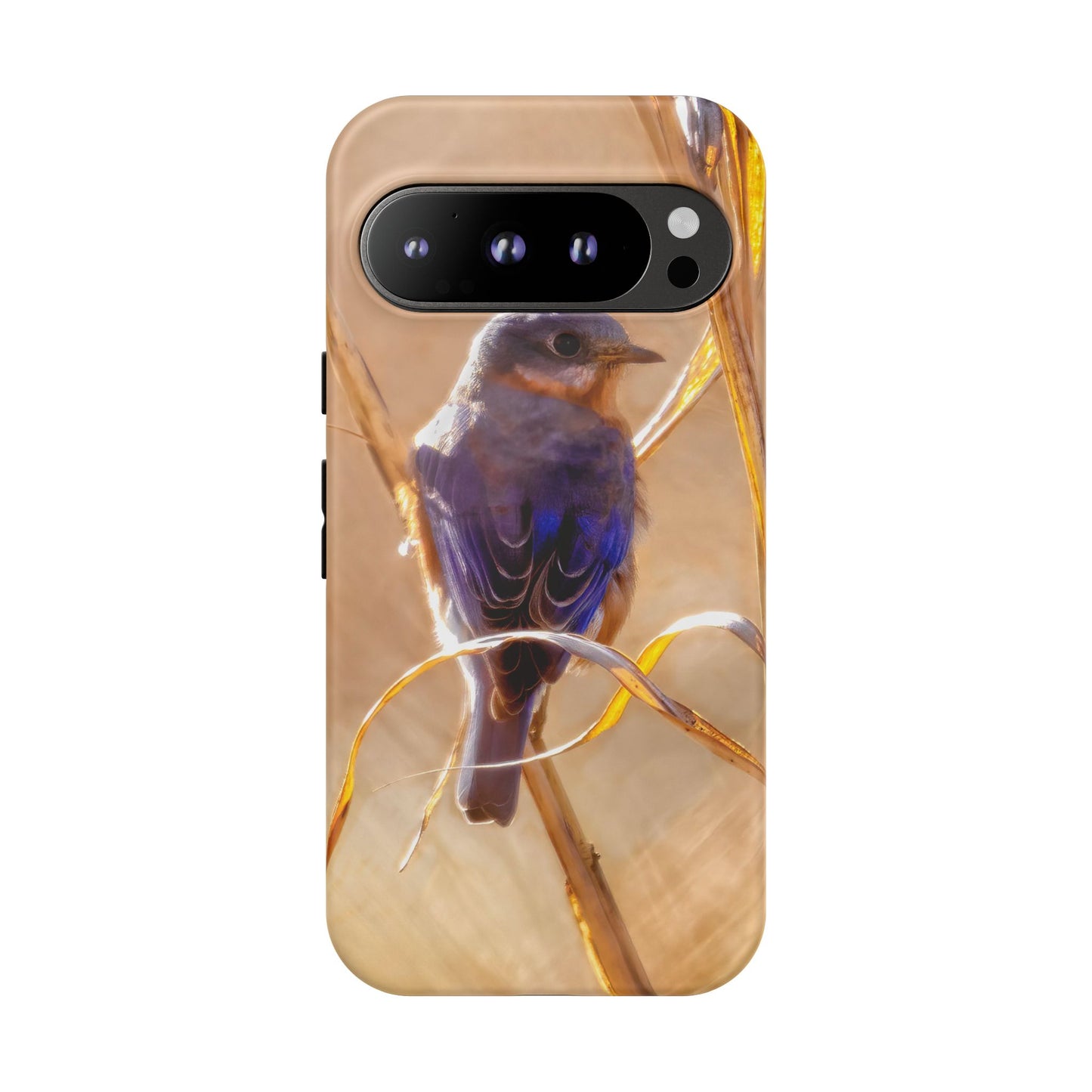Eastern Bluebird - Tough Phone Case