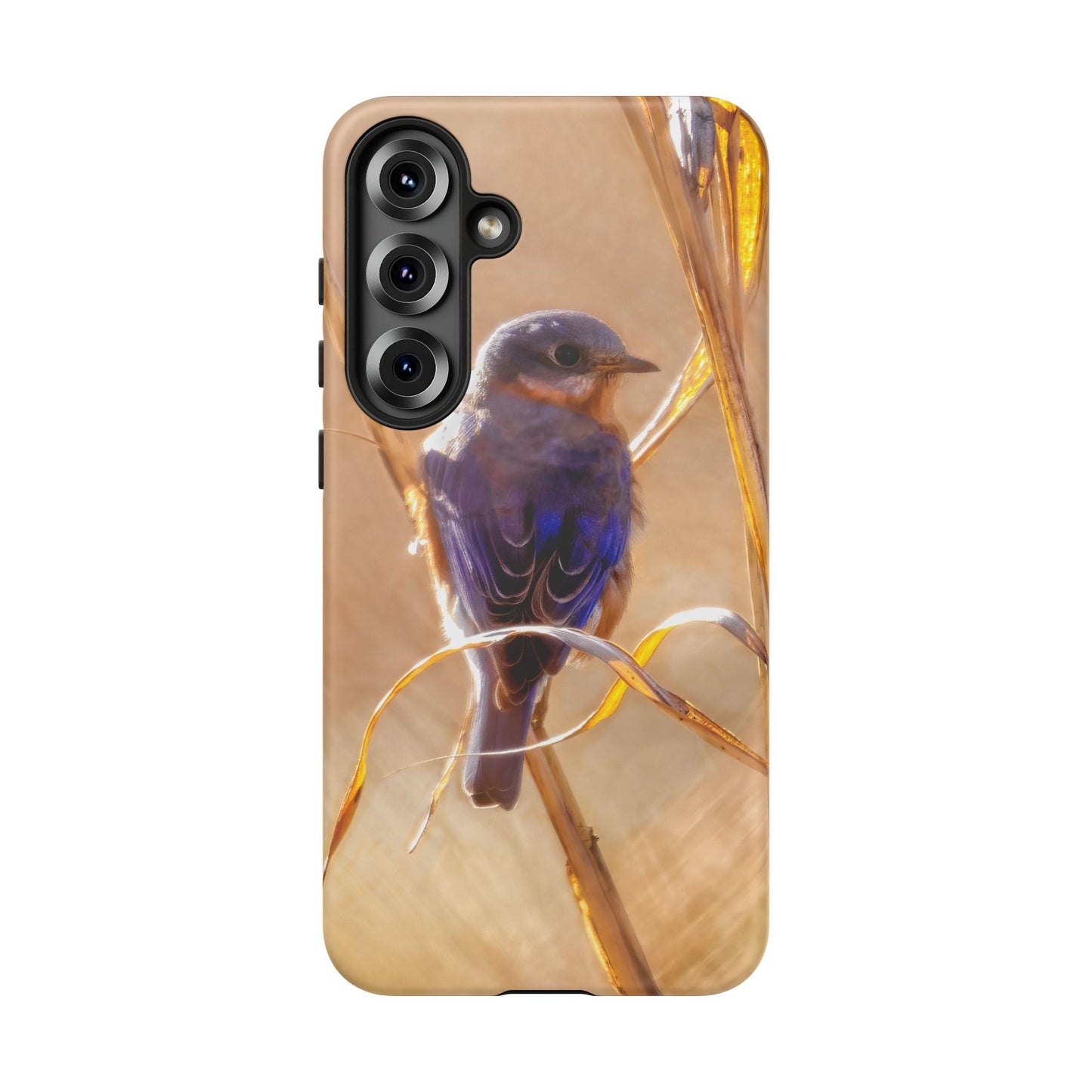 Eastern Bluebird - Tough Phone Case