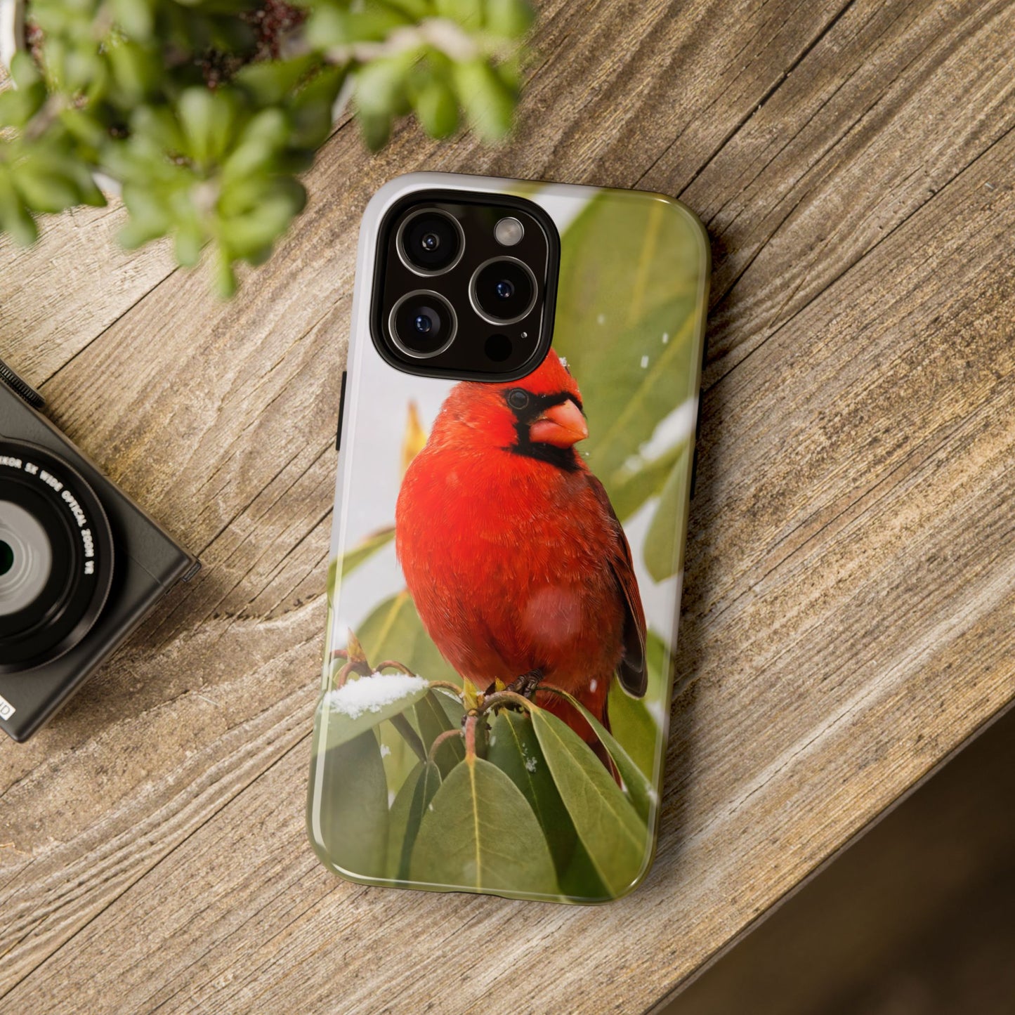 Male Cardinal - Tough Phone Case