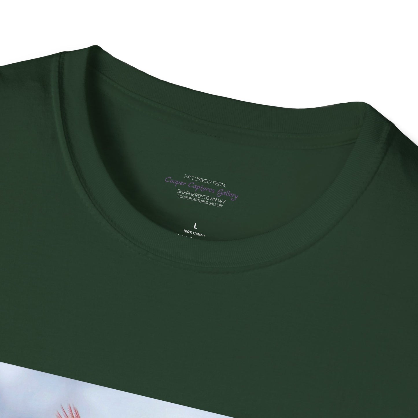 Cardinal Pair's "Snowy Chat" - T-shirt
