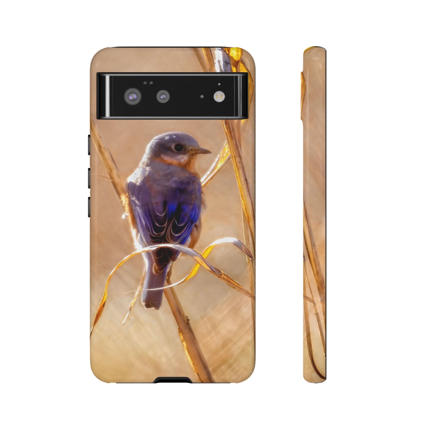 Eastern Bluebird - Tough Phone Case