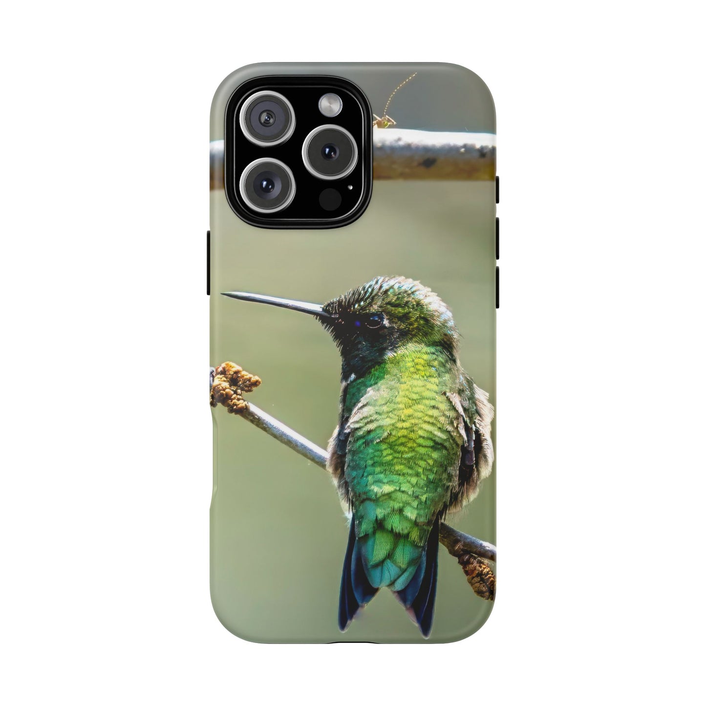 Hummingbird - Tough Phone Case