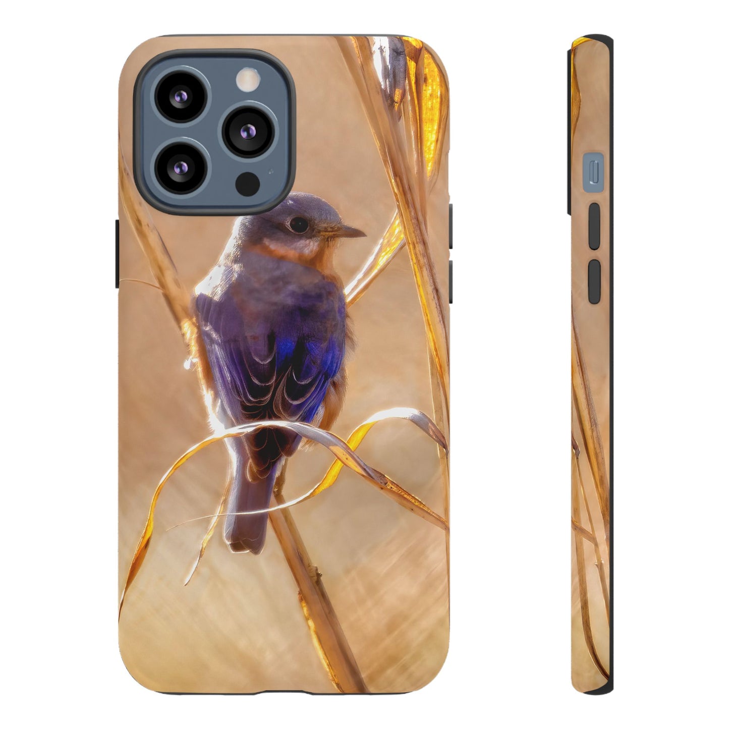 Eastern Bluebird - Tough Phone Case