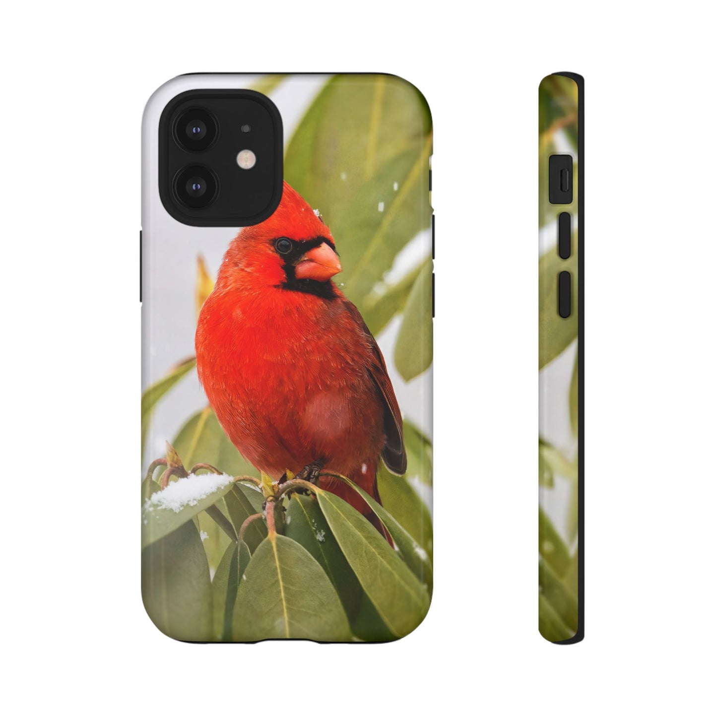 Male Cardinal - Tough Phone Case