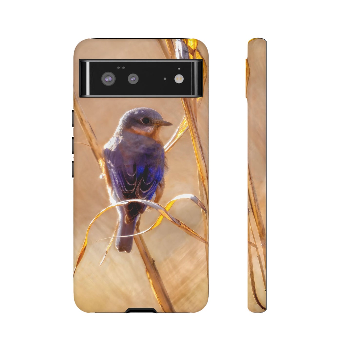 Eastern Bluebird - Tough Phone Case