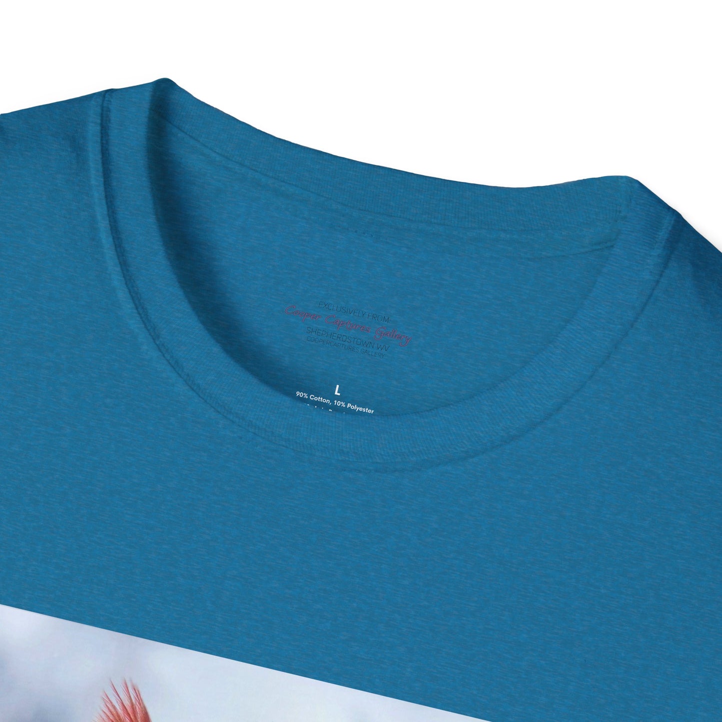 Cardinal Pair's "Snowy Chat" - T-shirt