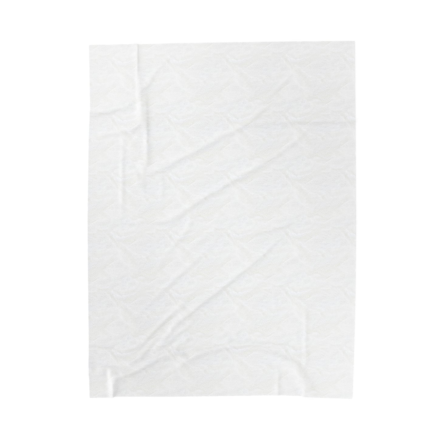 Raccoon "Private Property" - Velvet Blanket