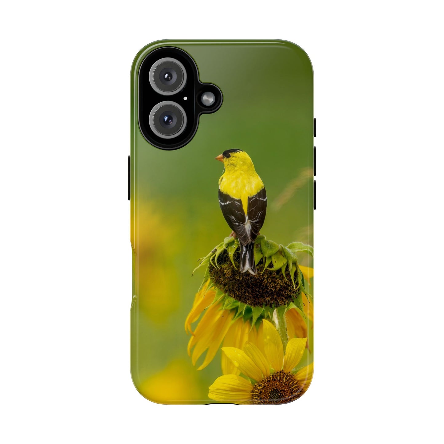 Goldfinch – Tough Phone Case