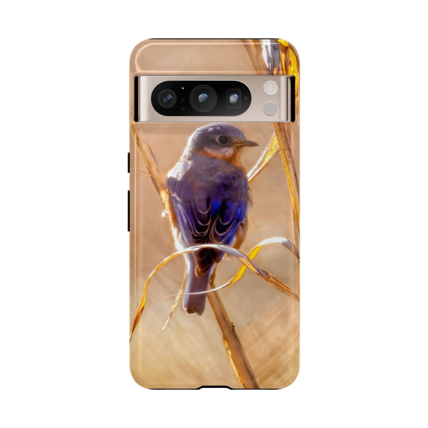 Eastern Bluebird - Tough Phone Case