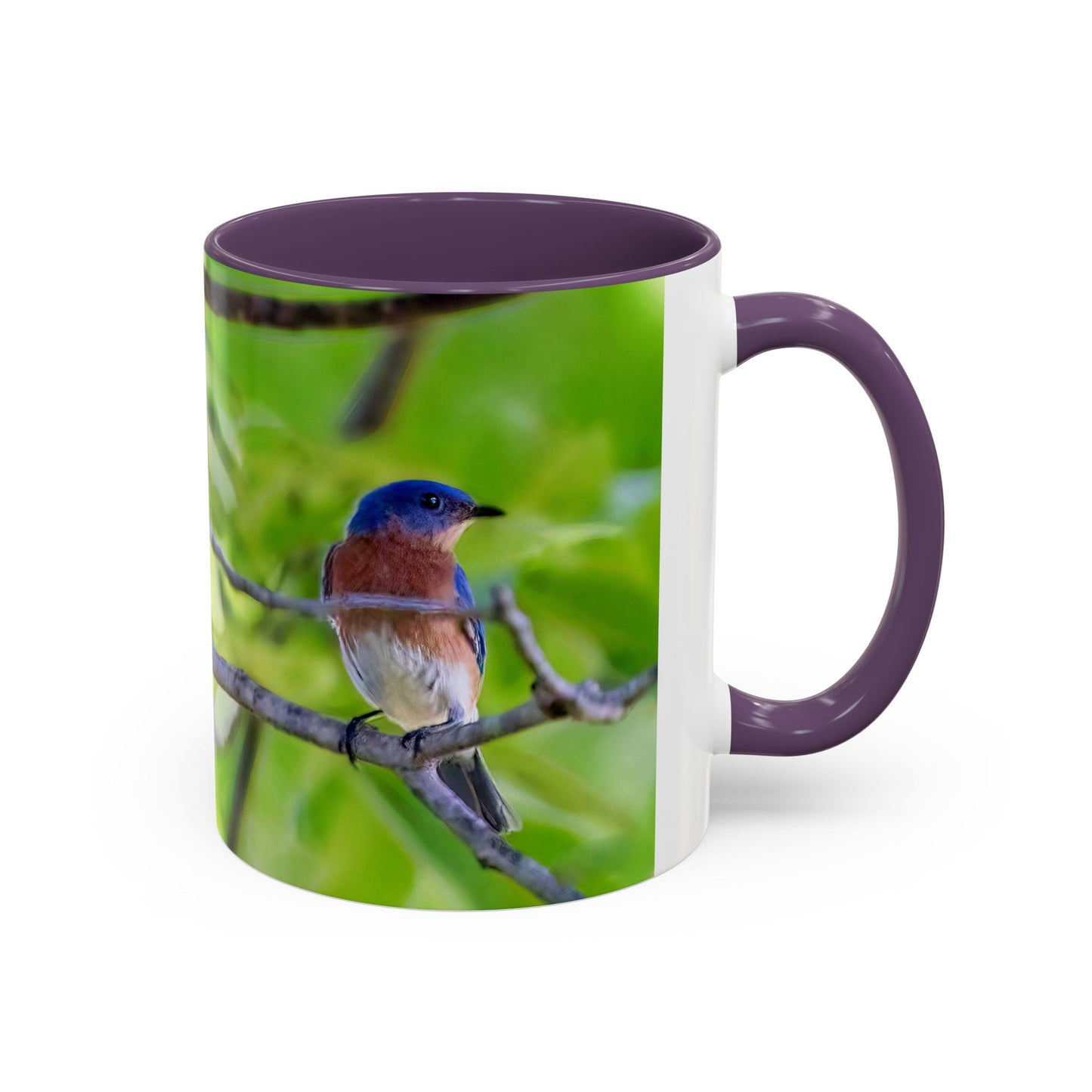 Bluebird pair - Variable color interior mug