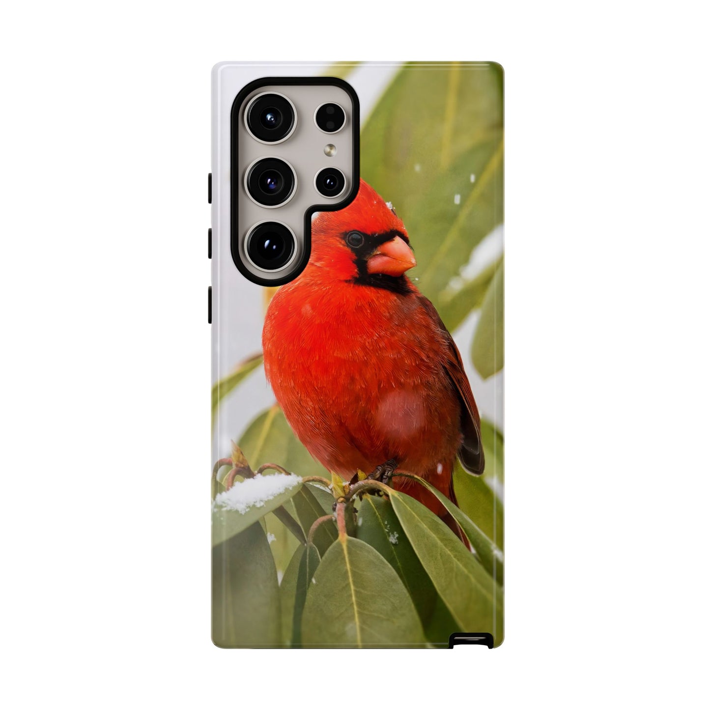 Male Cardinal - Tough Phone Case