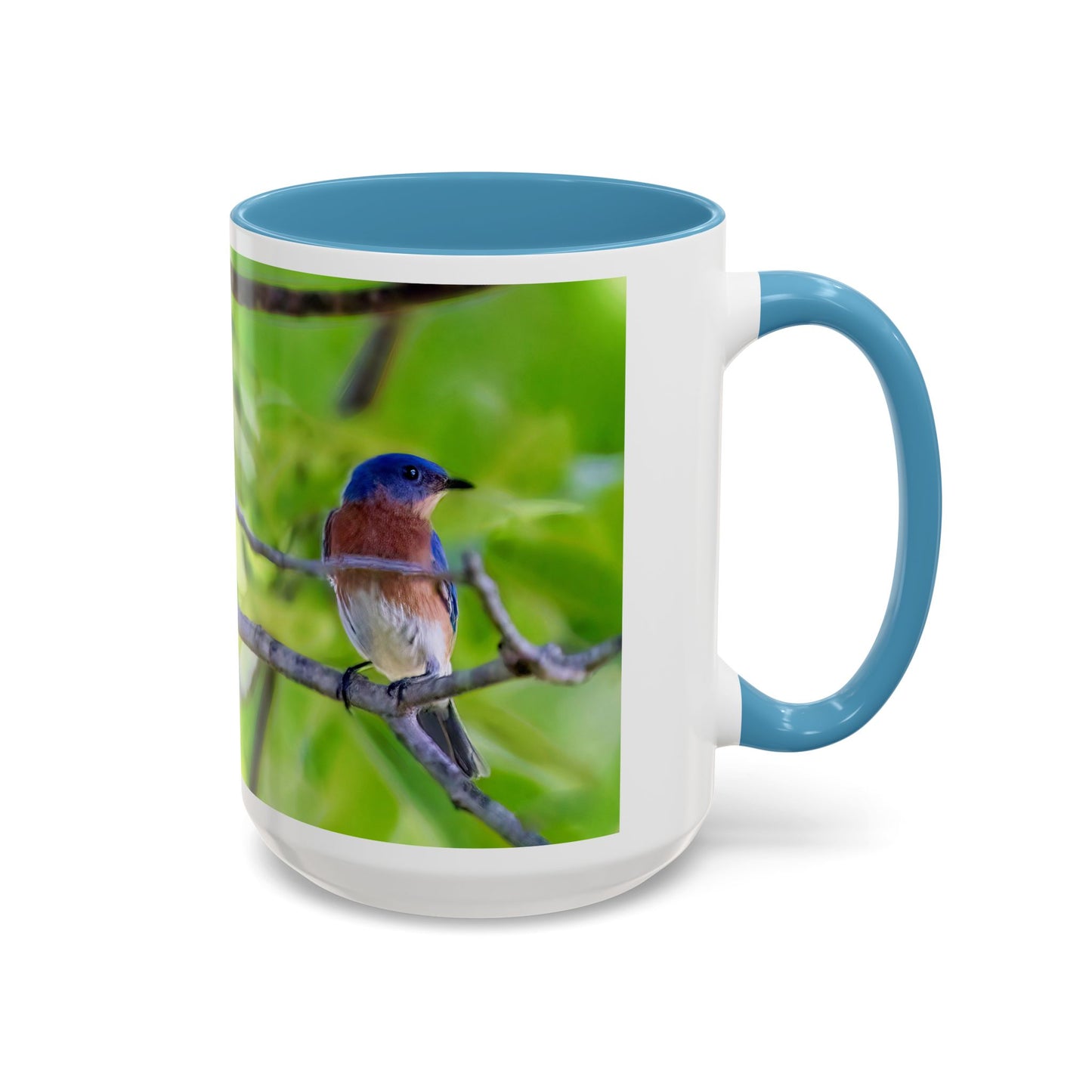 Bluebird pair - Variable color interior mug