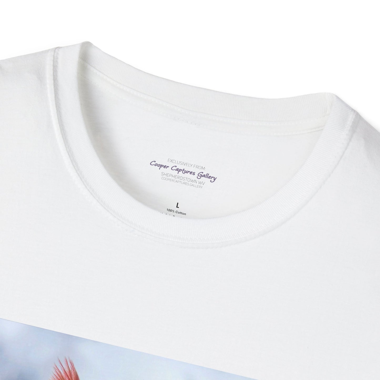 Cardinal Pair's "Snowy Chat" - T-shirt