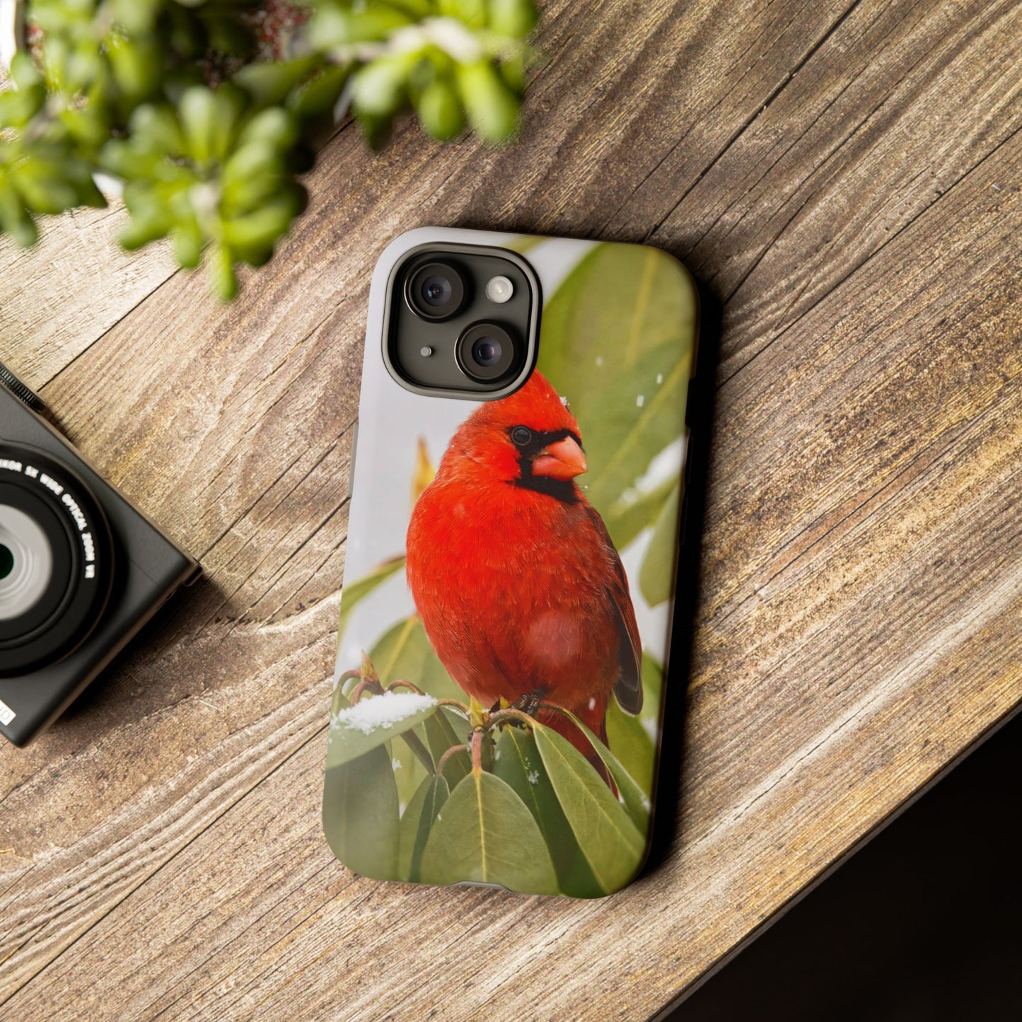 Male Cardinal - Tough Phone Case