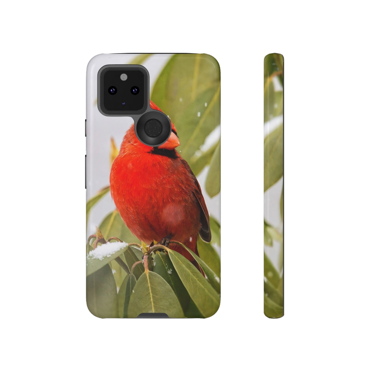 Male Cardinal - Tough Phone Case