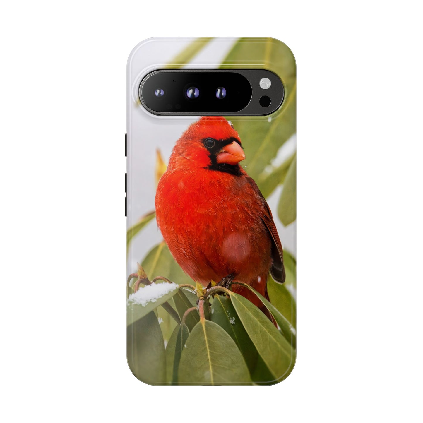 Male Cardinal - Tough Phone Case