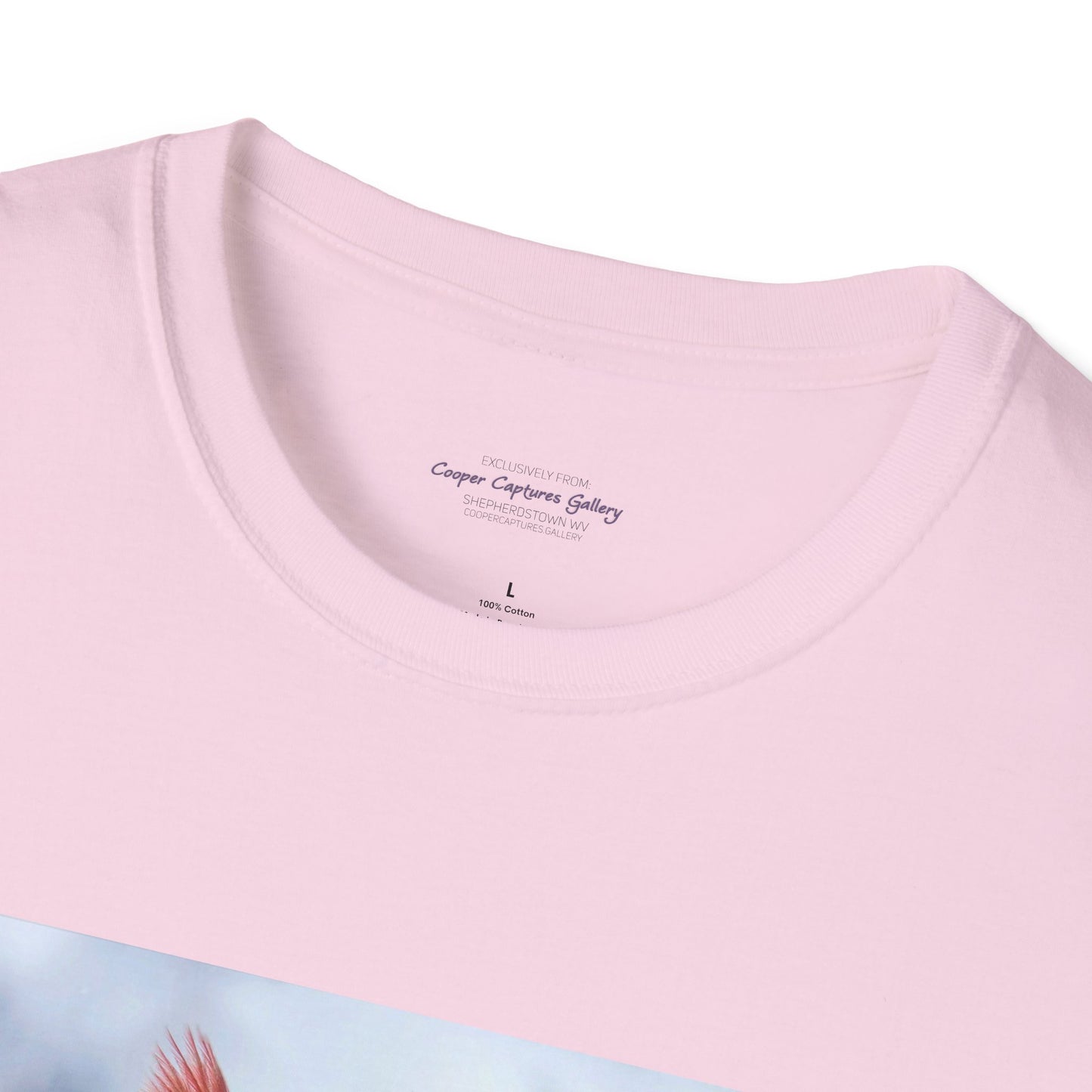 Cardinal Pair's "Snowy Chat" - T-shirt