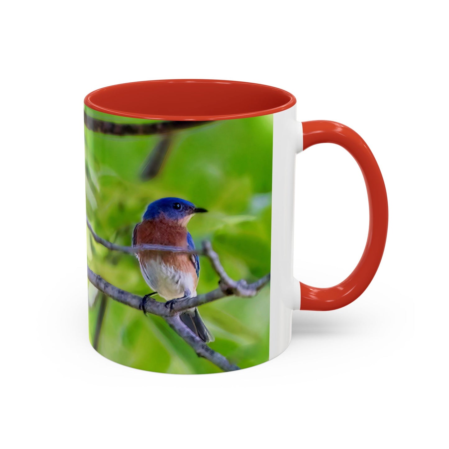 Bluebird pair - Variable color interior mug