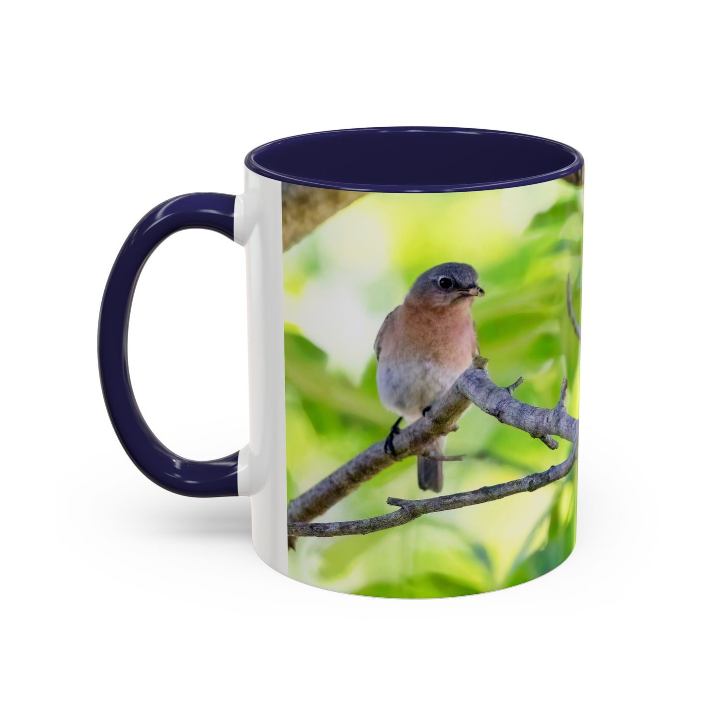 Bluebird pair - Variable color interior mug