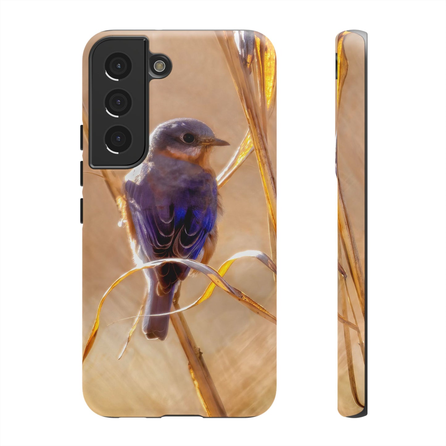 Eastern Bluebird - Tough Phone Case