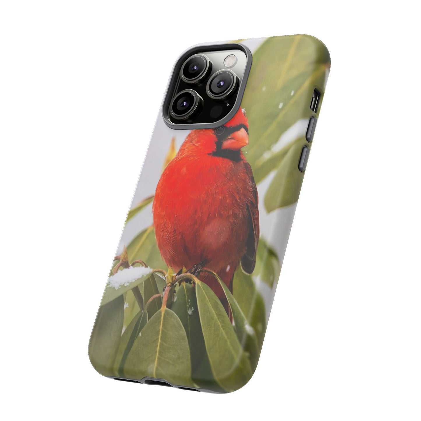 Male Cardinal - Tough Phone Case