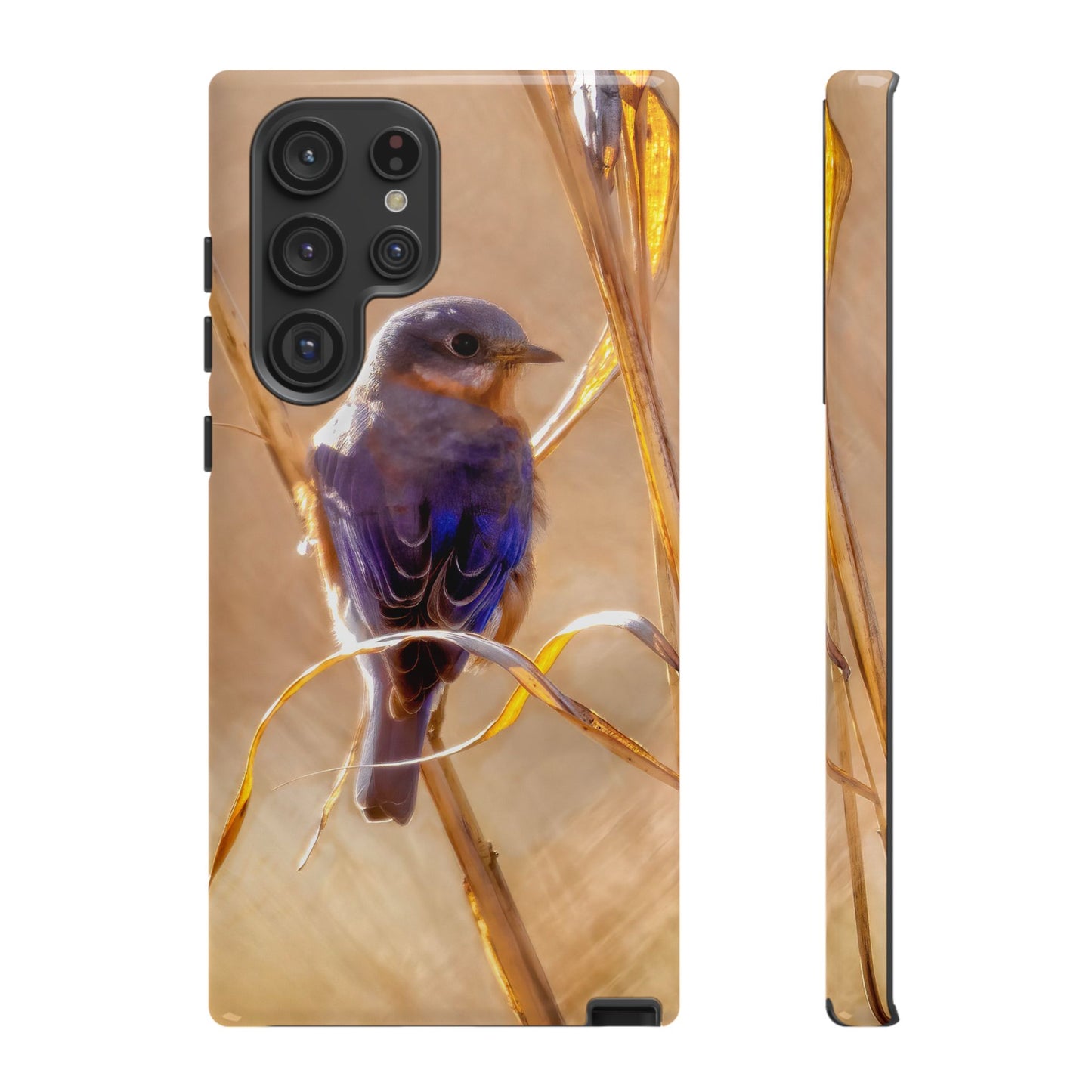Eastern Bluebird - Tough Phone Case