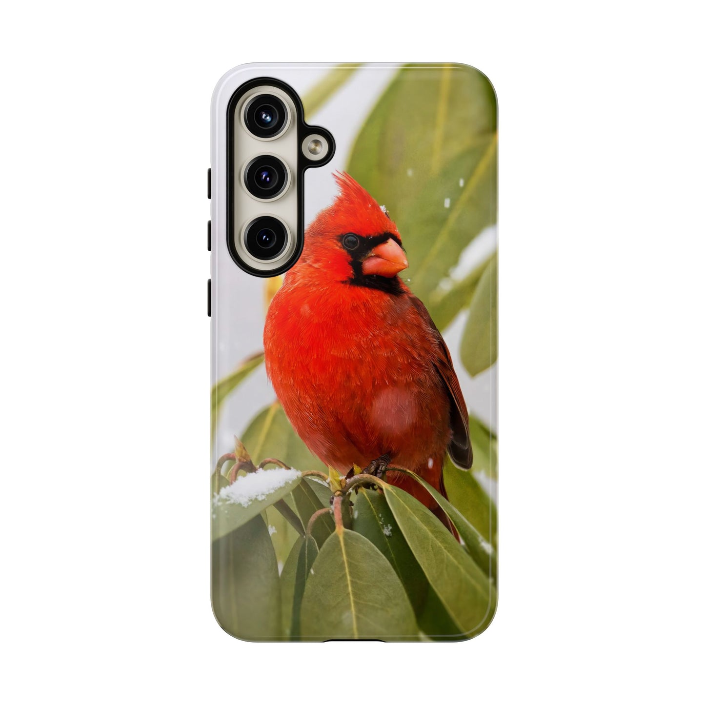 Male Cardinal - Tough Phone Case