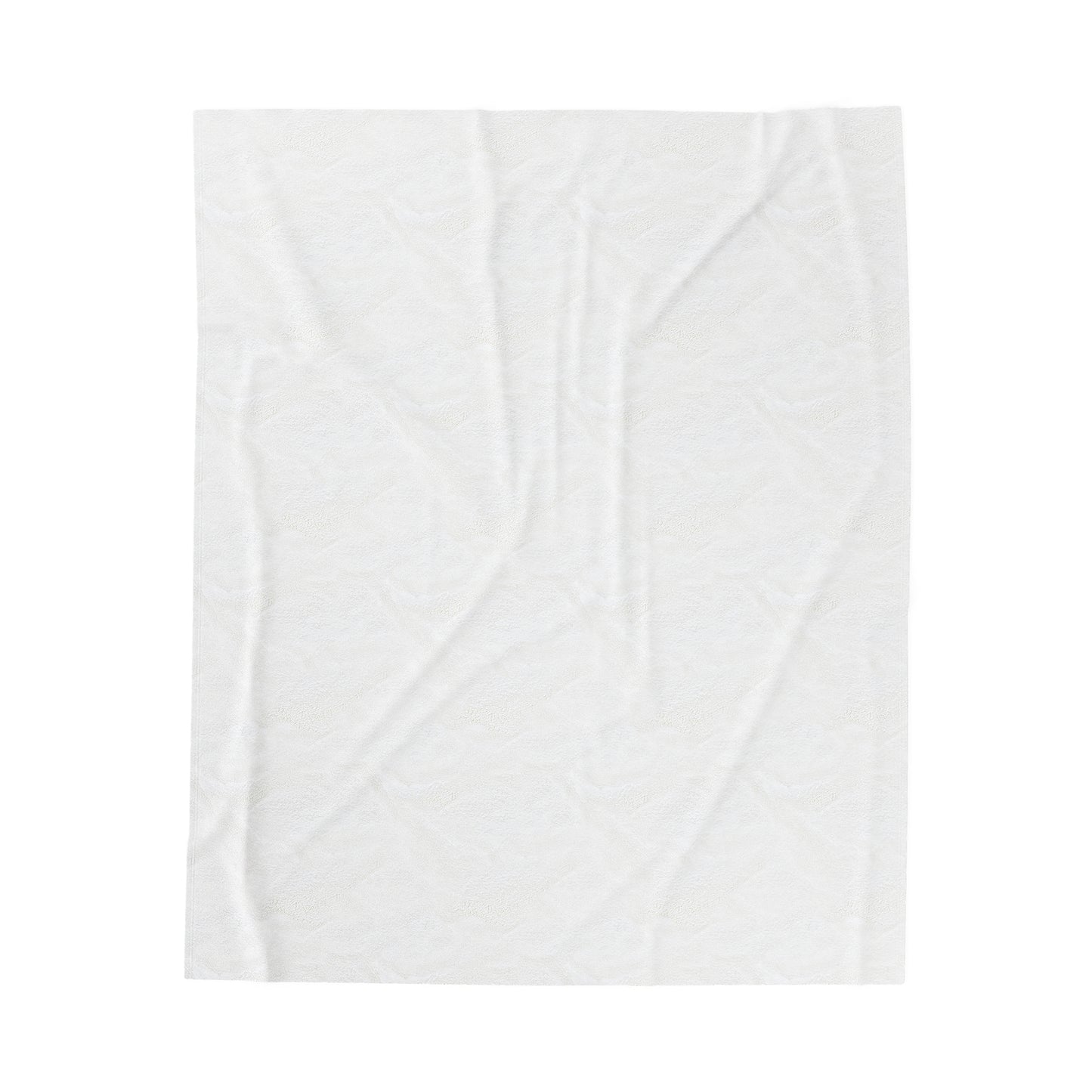 Raccoon "Private Property" - Velvet Blanket