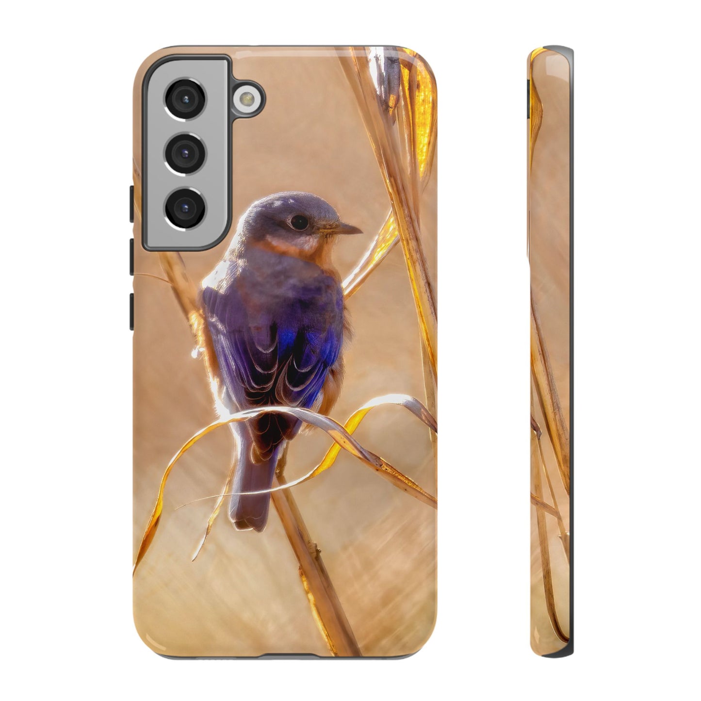 Eastern Bluebird - Tough Phone Case