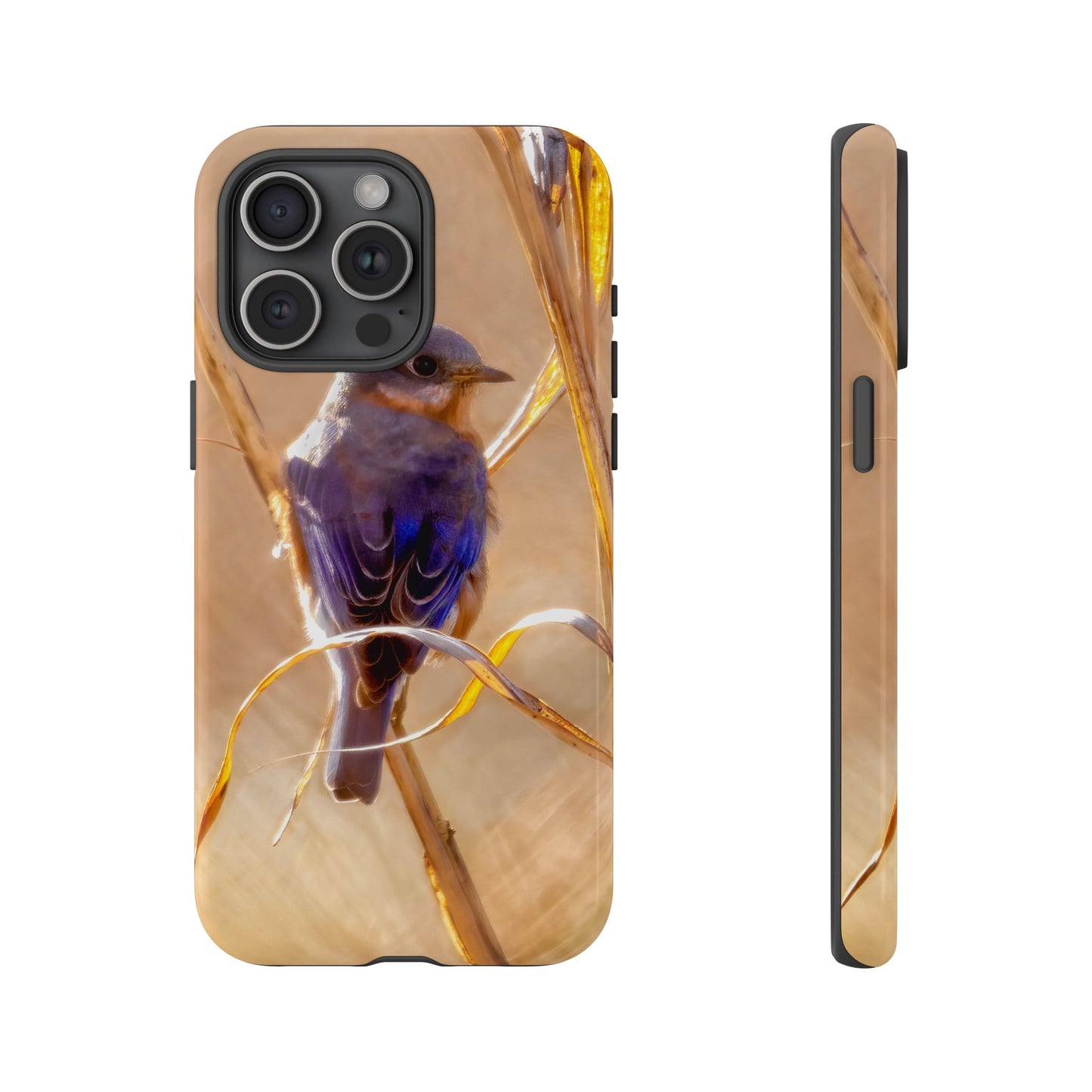 Eastern Bluebird - Tough Phone Case