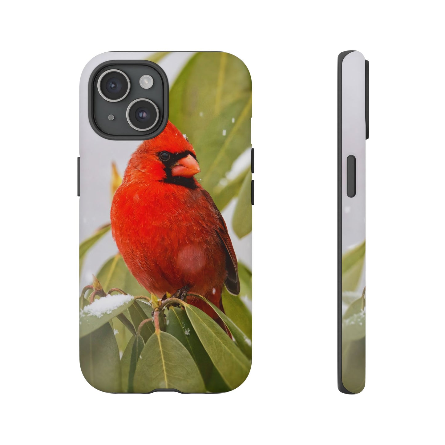 Male Cardinal - Tough Phone Case