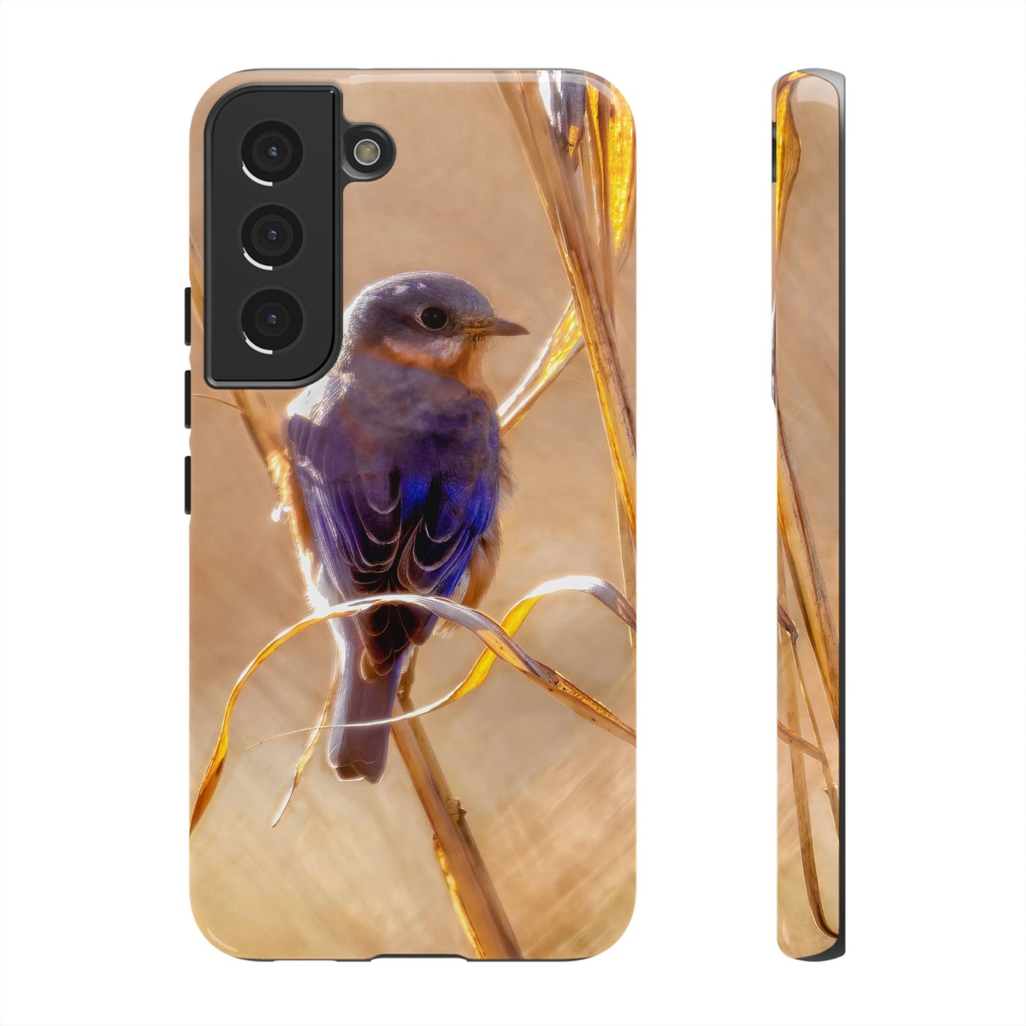 Eastern Bluebird - Tough Phone Case
