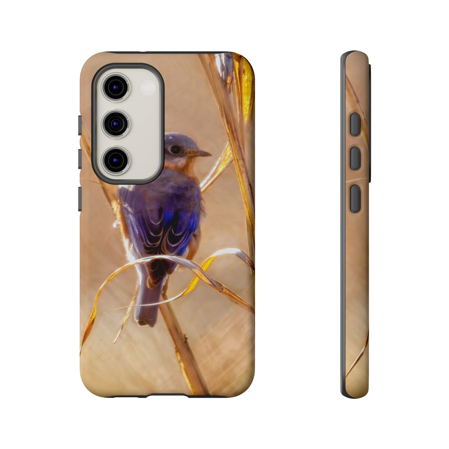 Eastern Bluebird - Tough Phone Case