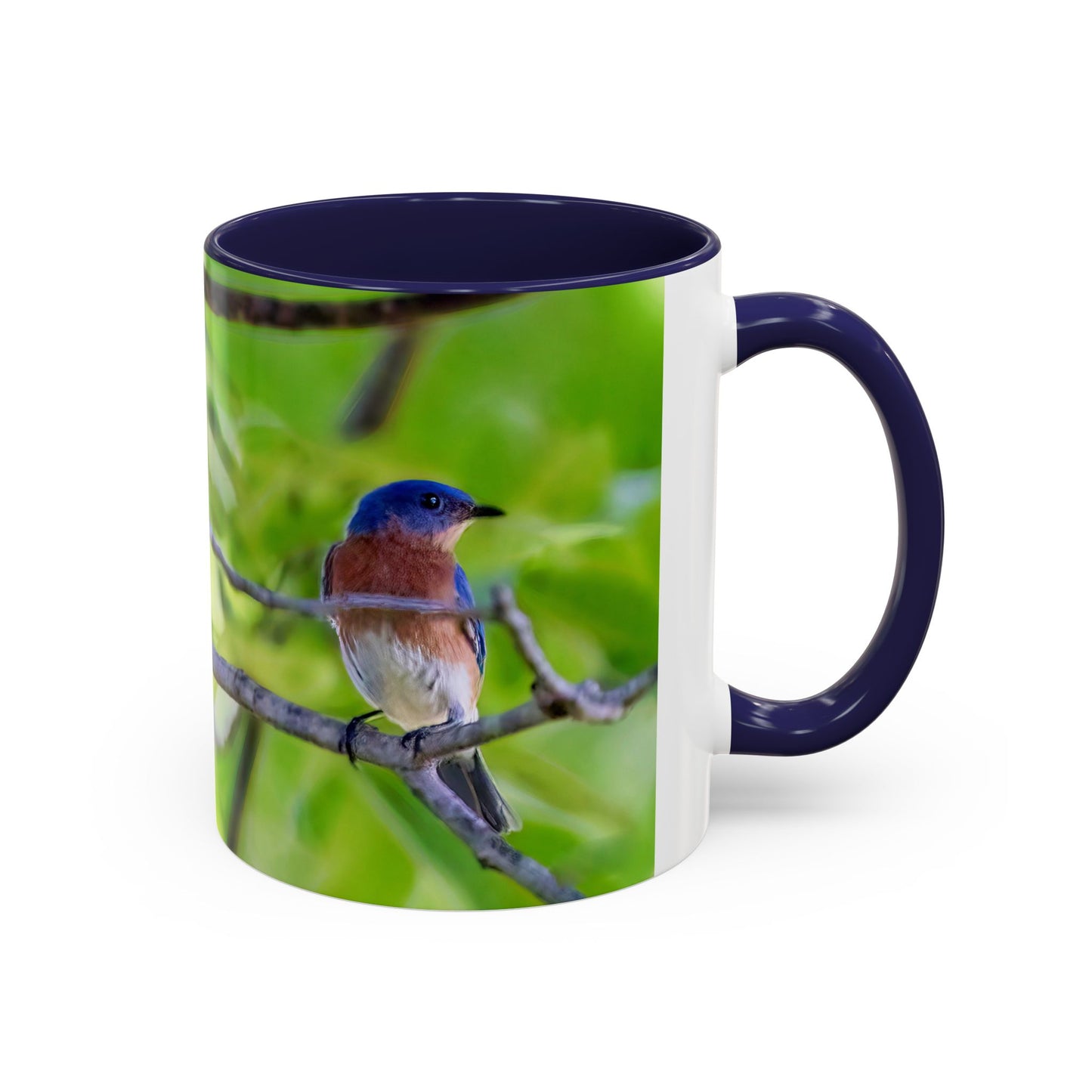 Bluebird pair - Variable color interior mug