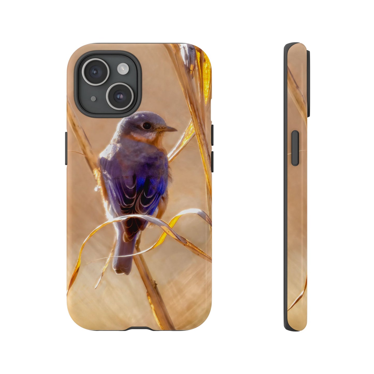 Eastern Bluebird - Tough Phone Case