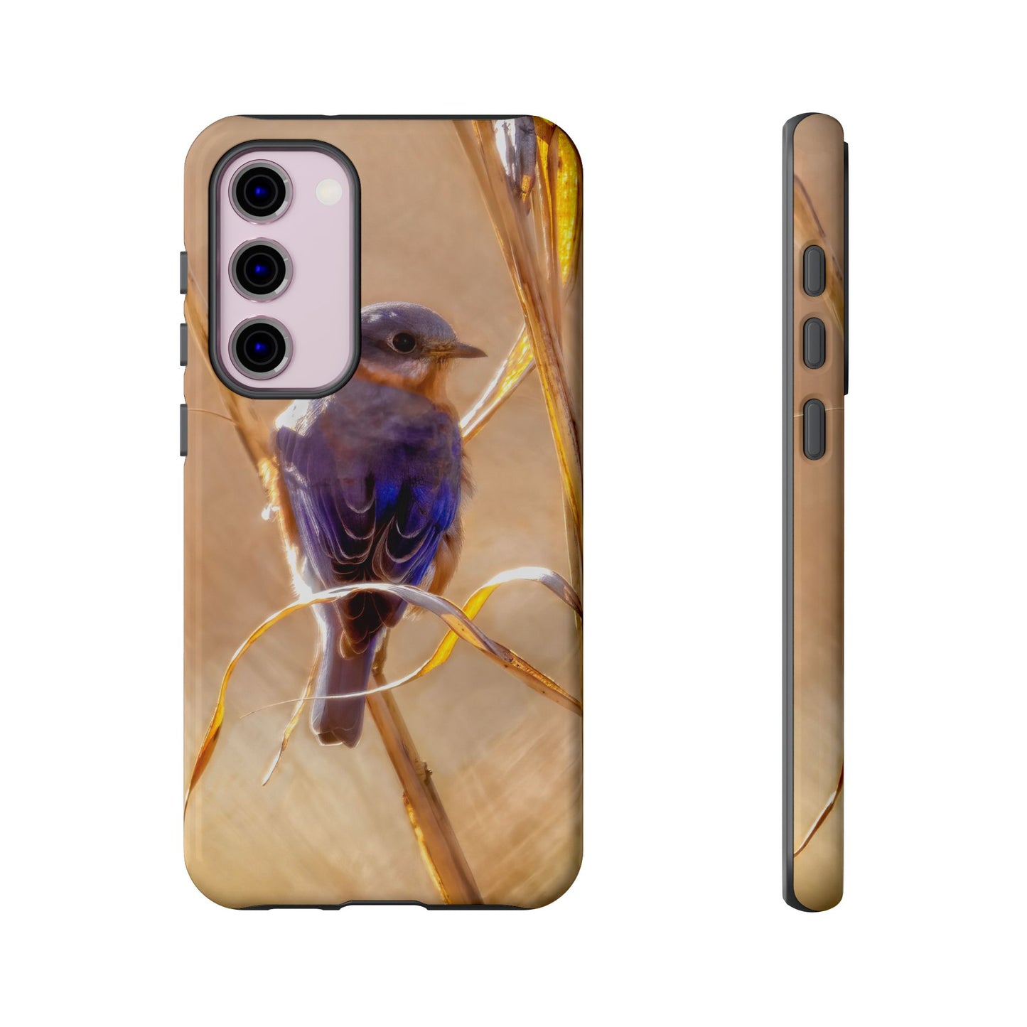 Eastern Bluebird - Tough Phone Case