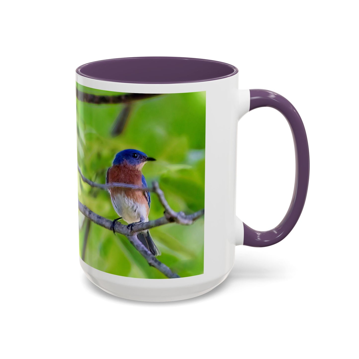 Bluebird pair - Variable color interior mug