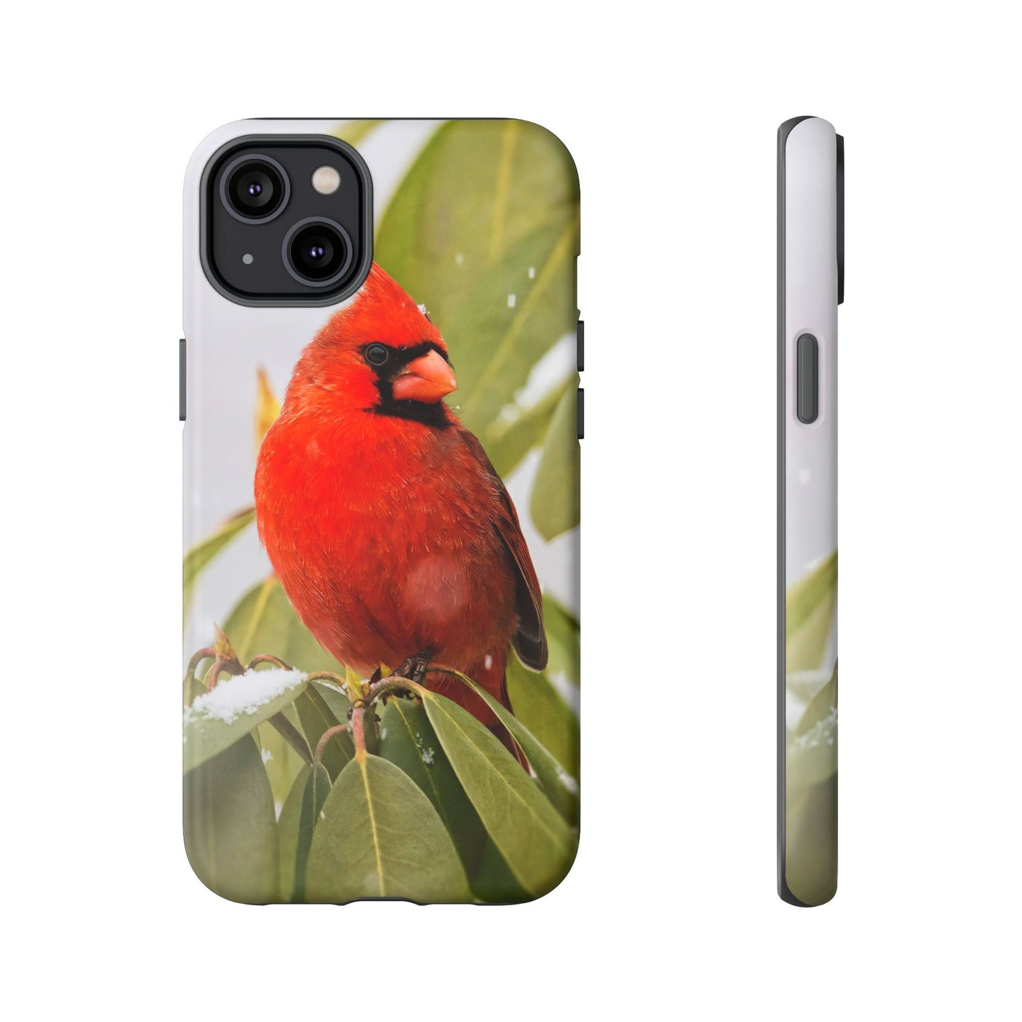Male Cardinal - Tough Phone Case