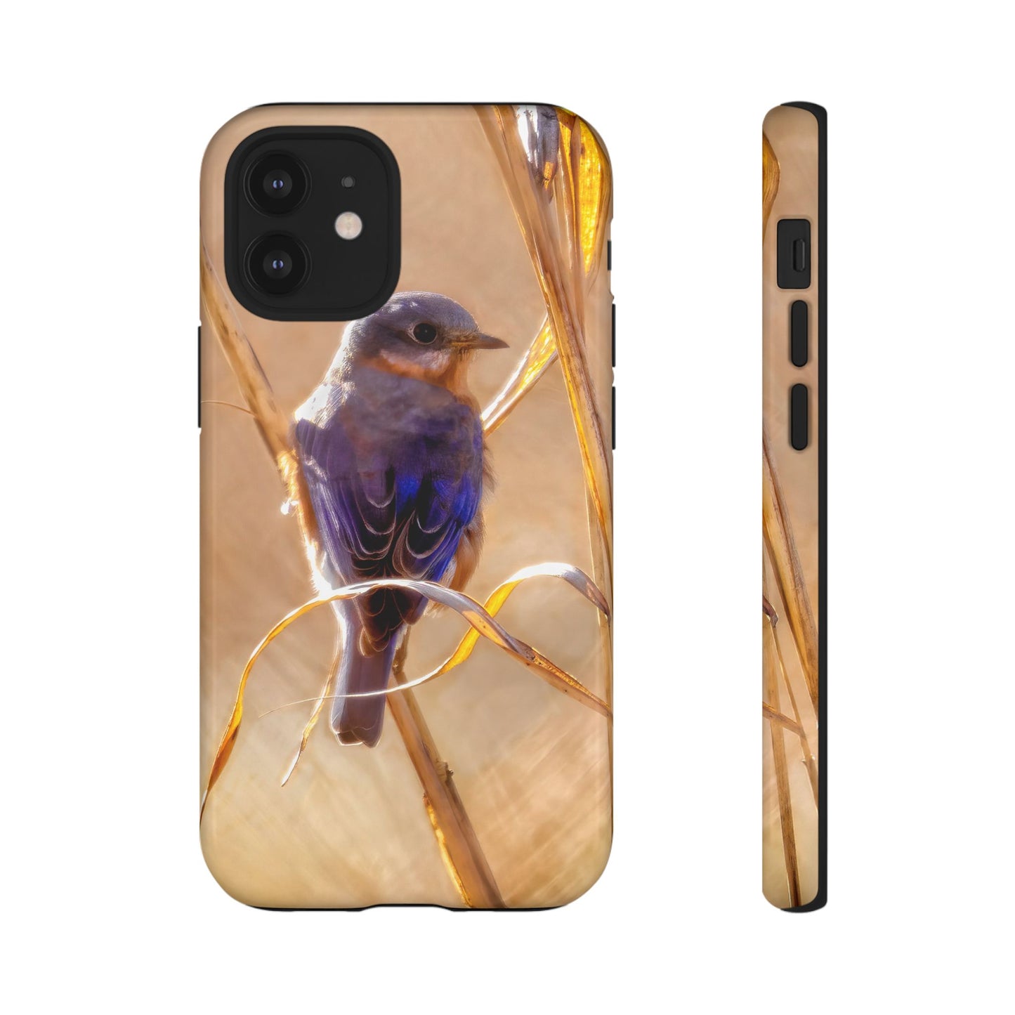 Eastern Bluebird - Tough Phone Case