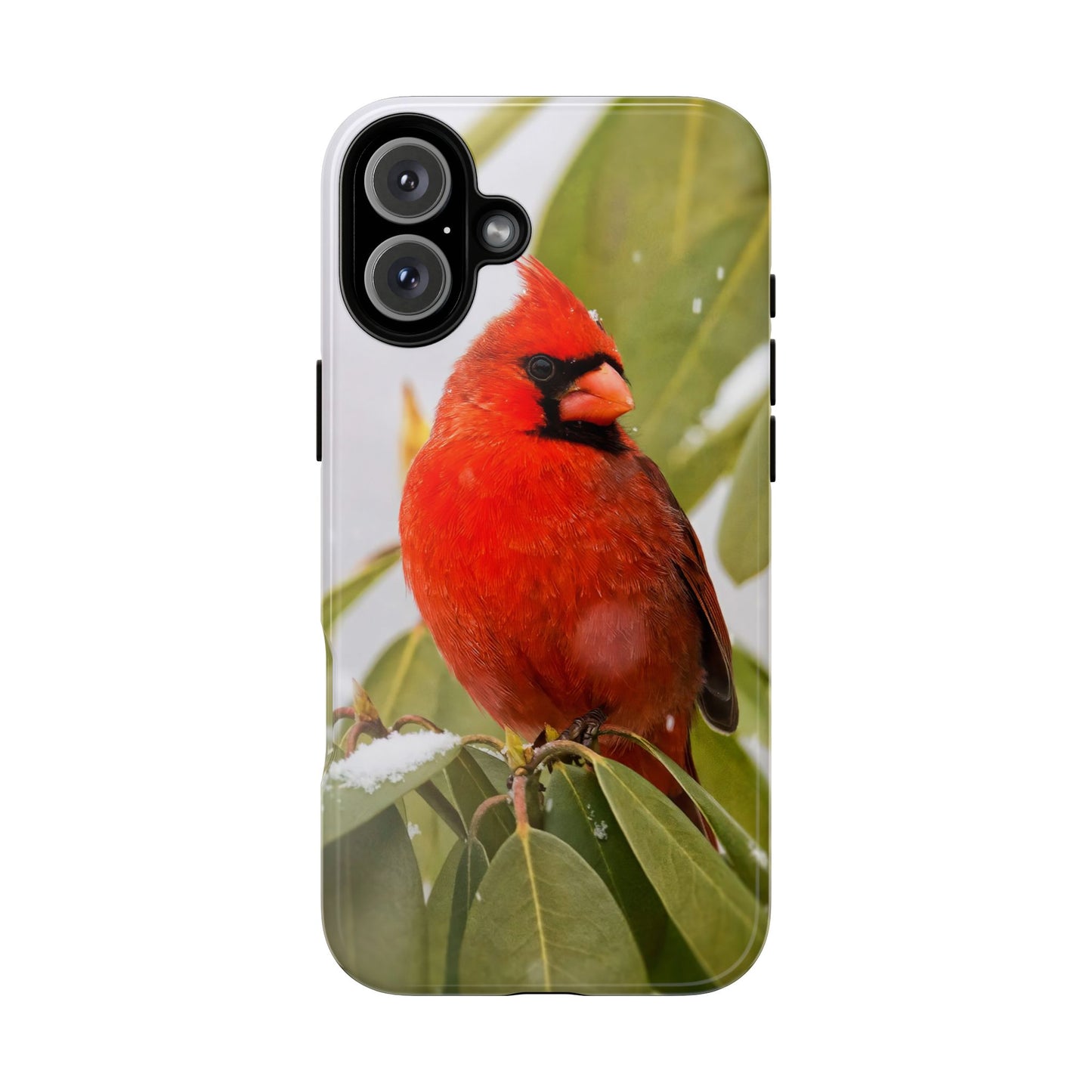 Male Cardinal - Tough Phone Case