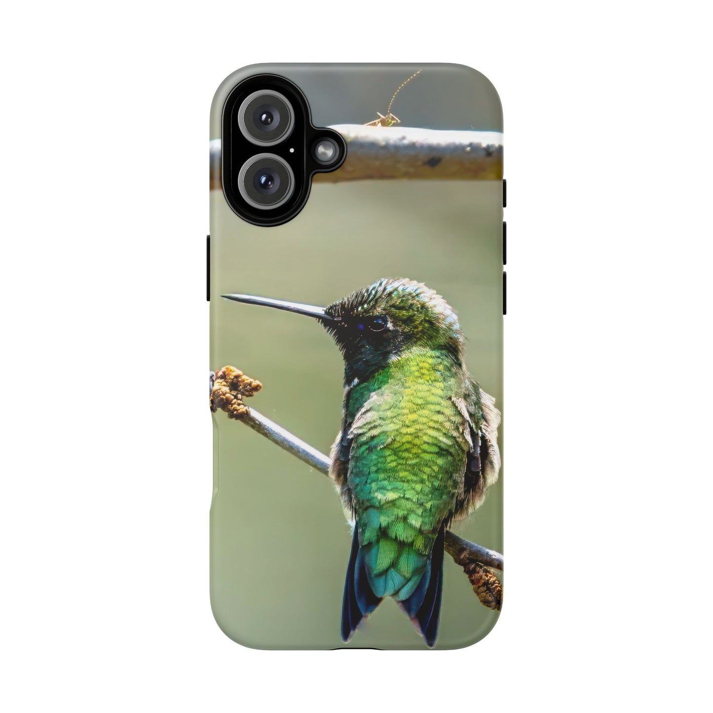 Hummingbird - Tough Phone Case