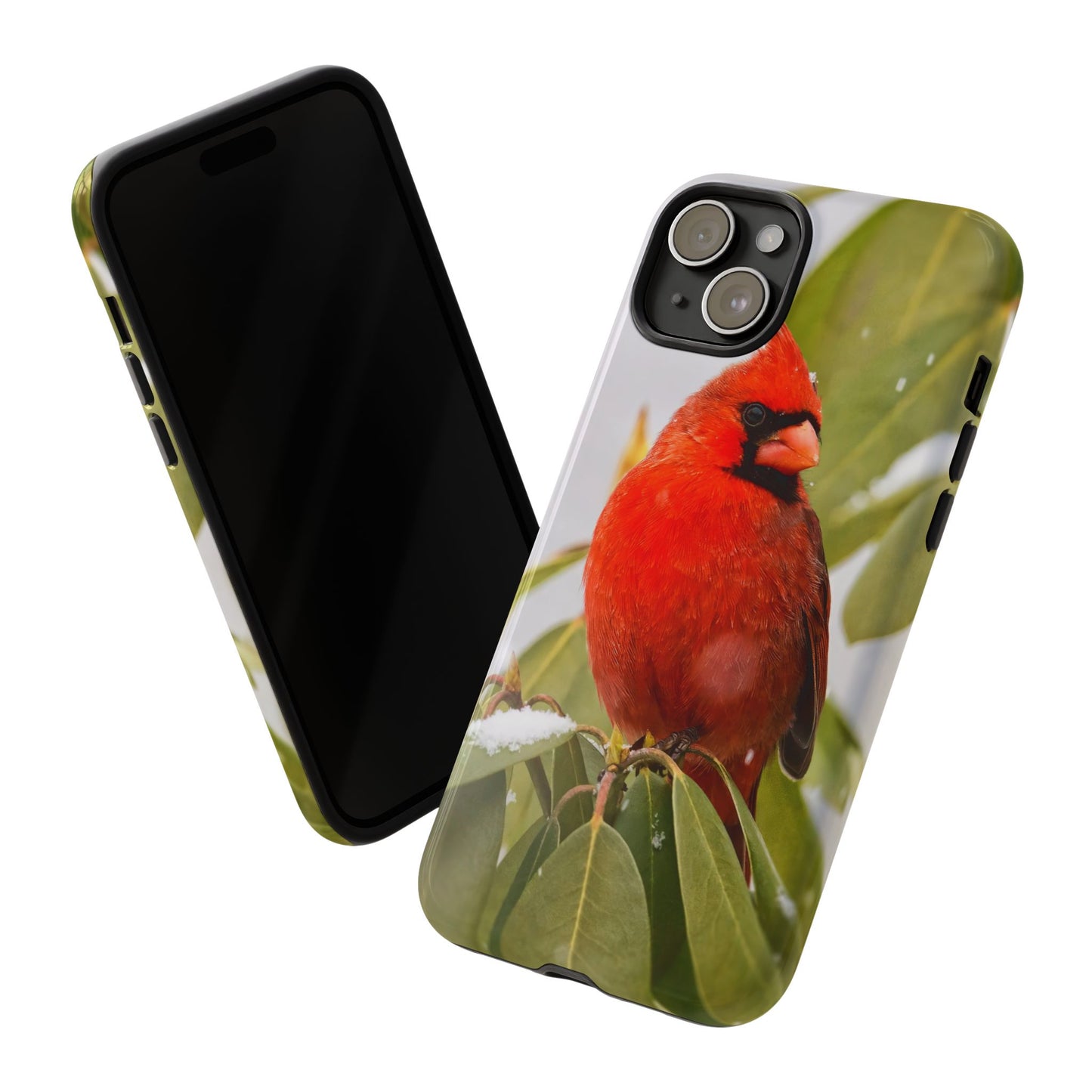 Male Cardinal - Tough Phone Case