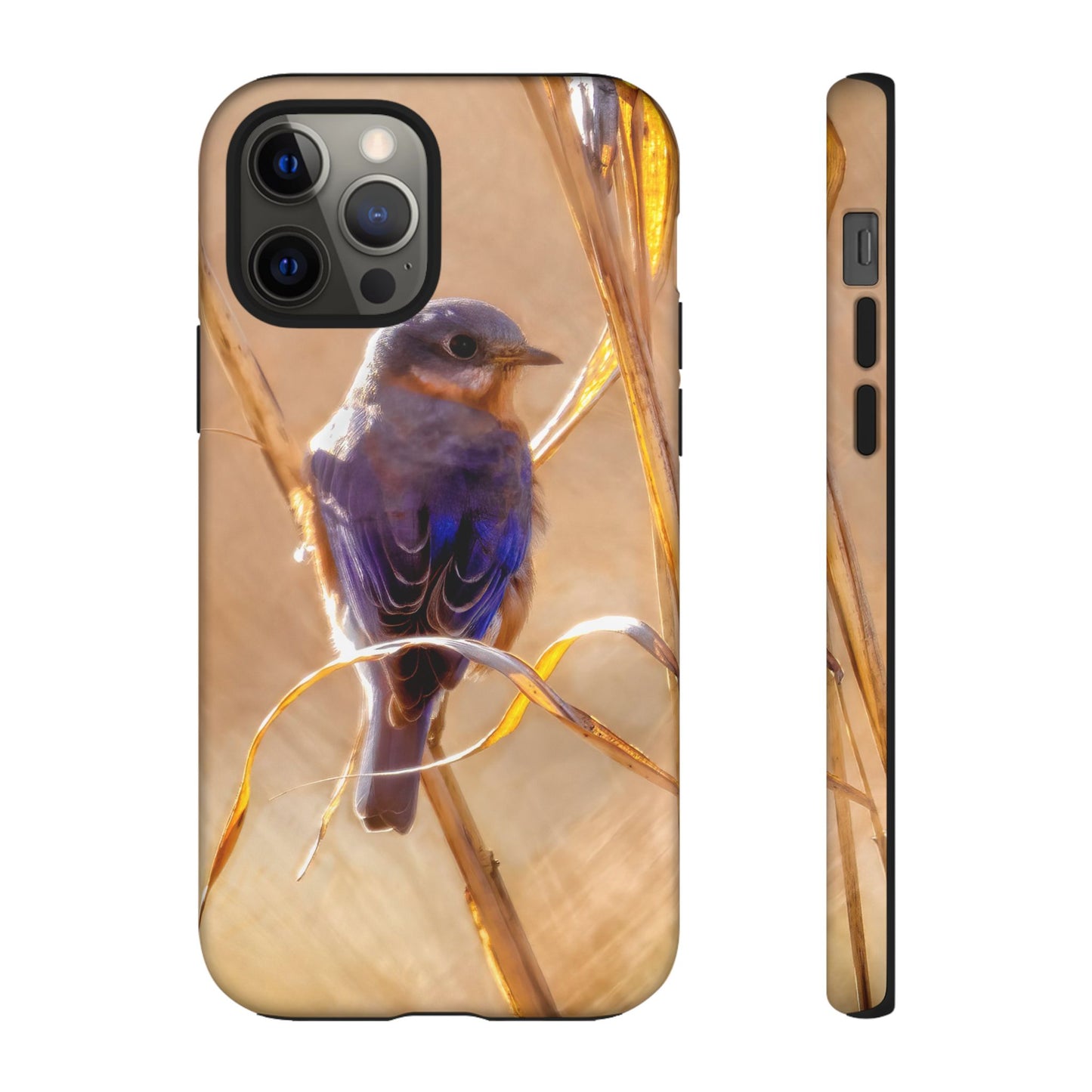 Eastern Bluebird - Tough Phone Case