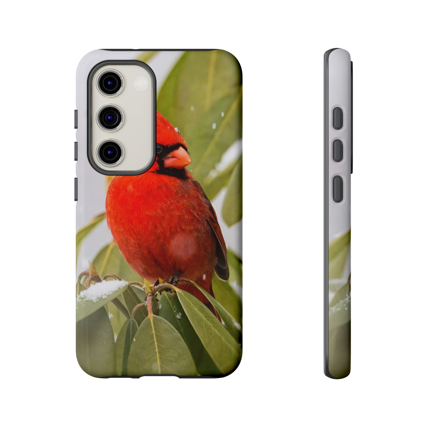 Male Cardinal - Tough Phone Case