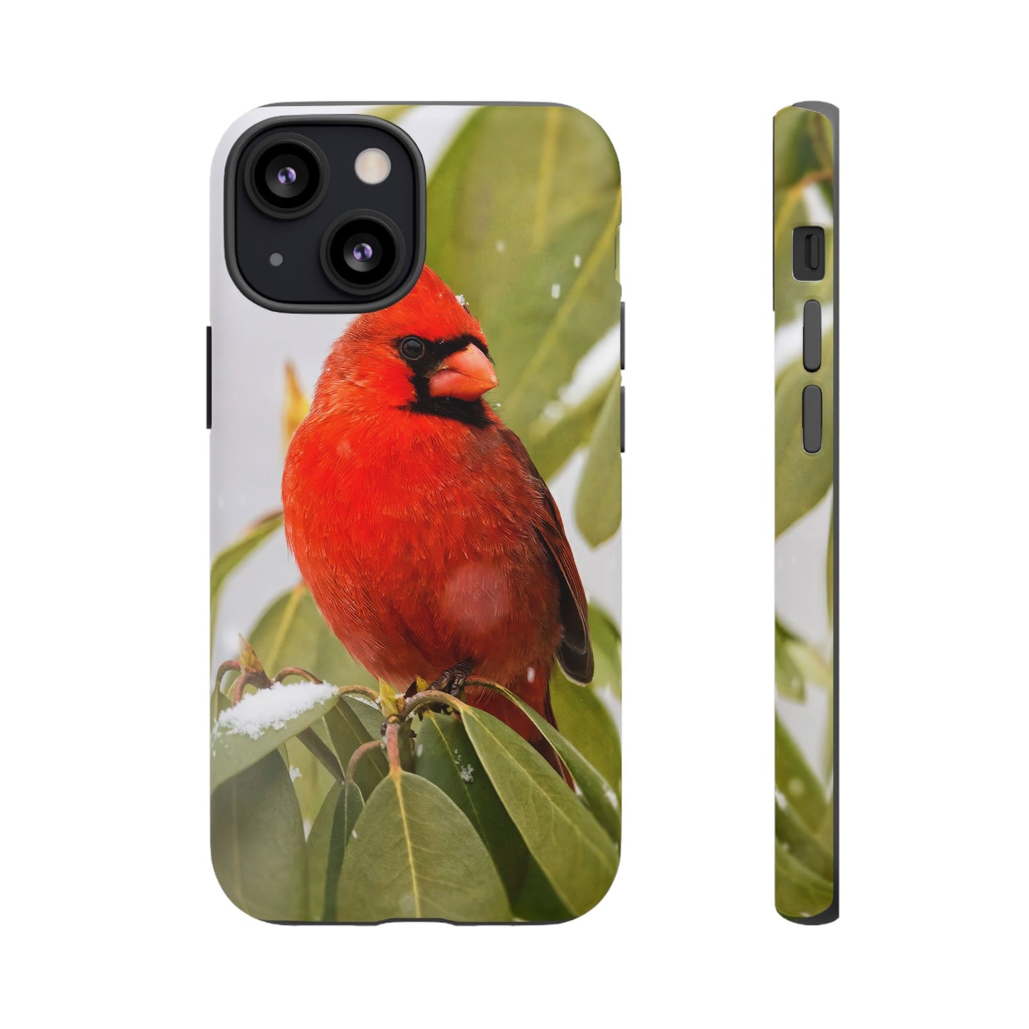 Male Cardinal - Tough Phone Case