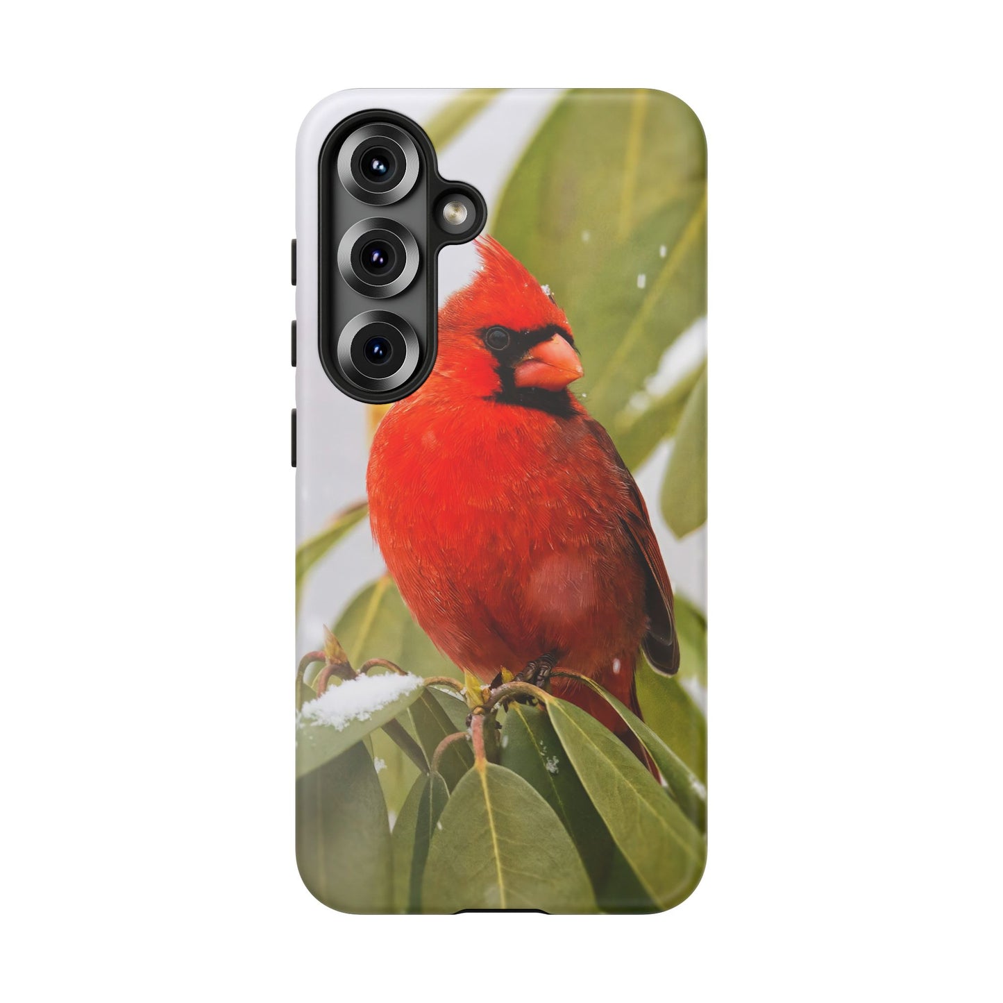 Male Cardinal - Tough Phone Case