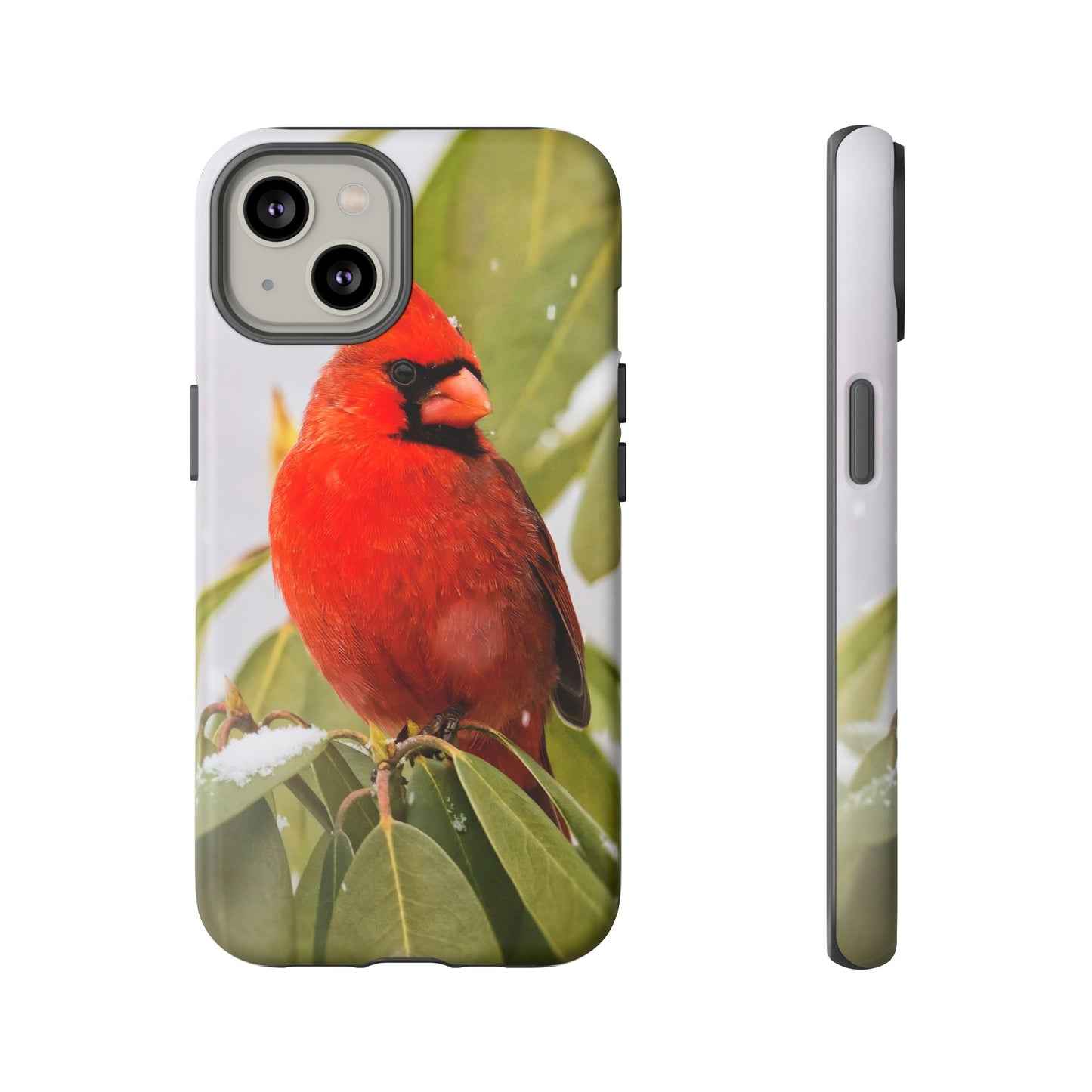Male Cardinal - Tough Phone Case
