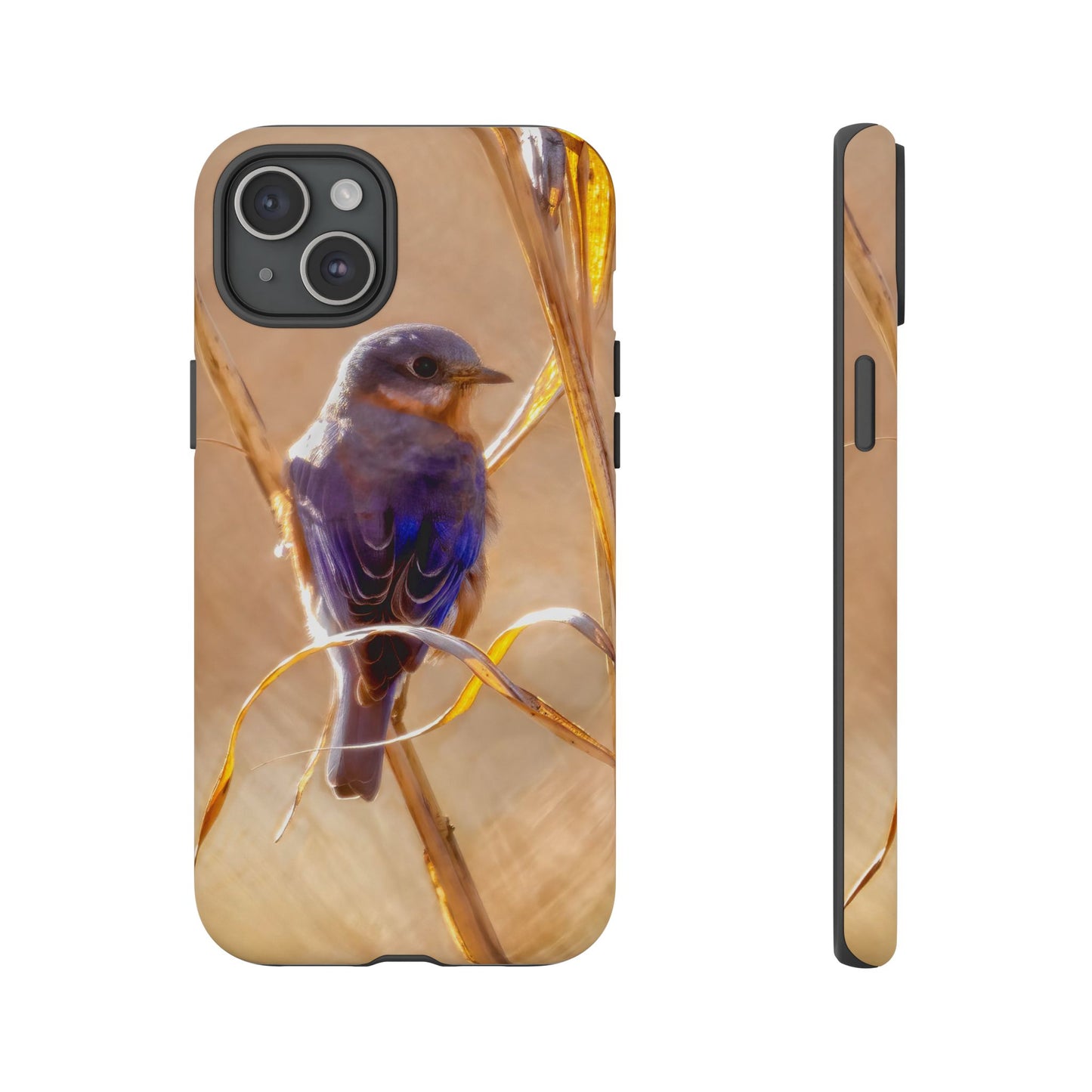 Eastern Bluebird - Tough Phone Case